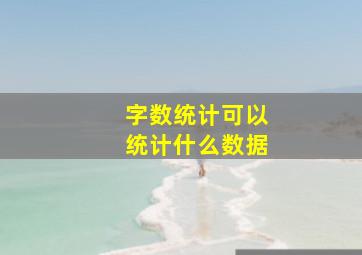 字数统计可以统计什么数据