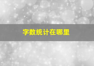 字数统计在哪里