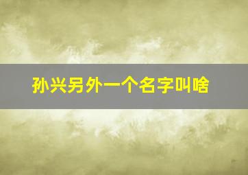 孙兴另外一个名字叫啥