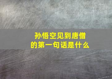 孙悟空见到唐僧的第一句话是什么