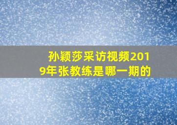 孙颖莎采访视频2019年张教练是哪一期的