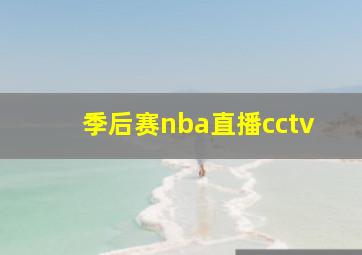 季后赛nba直播cctv