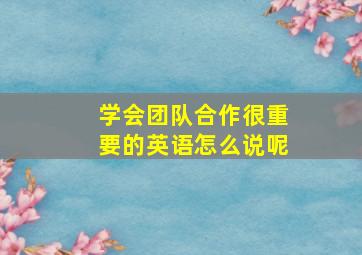 学会团队合作很重要的英语怎么说呢