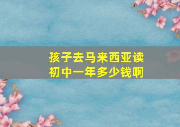 孩子去马来西亚读初中一年多少钱啊