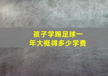 孩子学踢足球一年大概得多少学费