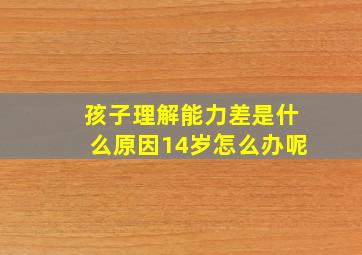 孩子理解能力差是什么原因14岁怎么办呢