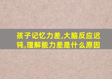 孩子记忆力差,大脑反应迟钝,理解能力差是什么原因