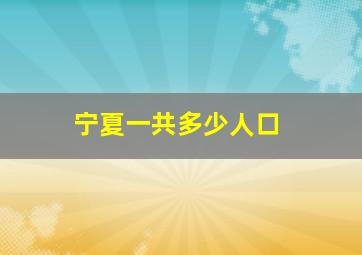 宁夏一共多少人口