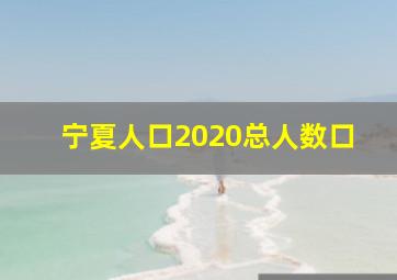 宁夏人口2020总人数口