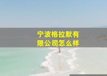 宁波格拉默有限公司怎么样