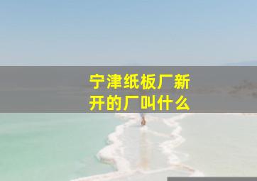 宁津纸板厂新开的厂叫什么