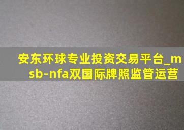 安东环球专业投资交易平台_msb-nfa双国际牌照监管运营