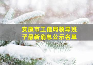 安康市工信局领导班子最新消息公示名单