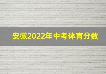 安徽2022年中考体育分数