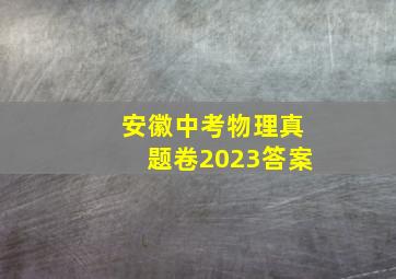 安徽中考物理真题卷2023答案