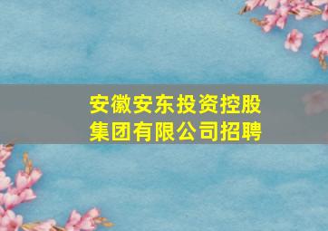 安徽安东投资控股集团有限公司招聘