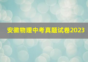 安徽物理中考真题试卷2023