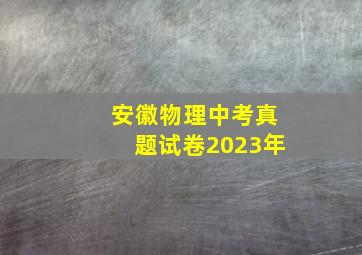 安徽物理中考真题试卷2023年