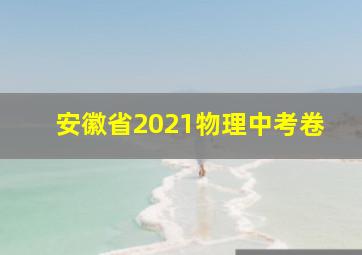 安徽省2021物理中考卷