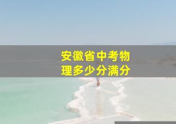 安徽省中考物理多少分满分