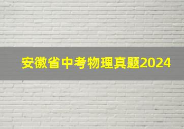 安徽省中考物理真题2024