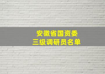 安徽省国资委三级调研员名单