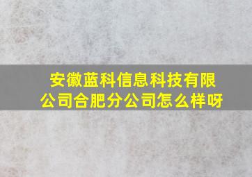 安徽蓝科信息科技有限公司合肥分公司怎么样呀