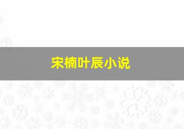 宋楠叶辰小说