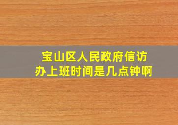 宝山区人民政府信访办上班时间是几点钟啊