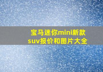 宝马迷你mini新款suv报价和图片大全