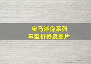 宝马迷你系列车型价格及图片