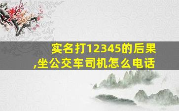 实名打12345的后果,坐公交车司机怎么电话