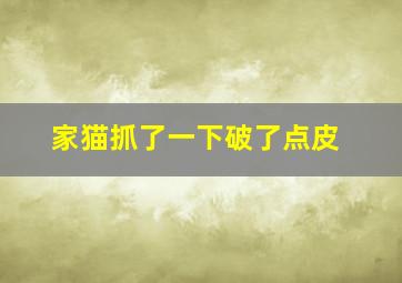 家猫抓了一下破了点皮