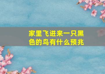 家里飞进来一只黑色的鸟有什么预兆