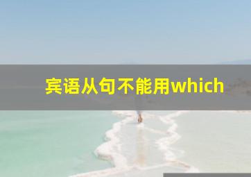 宾语从句不能用which