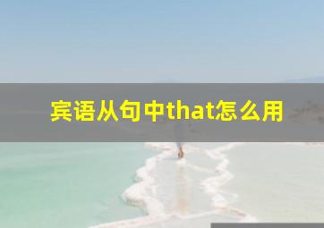 宾语从句中that怎么用