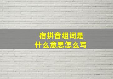 宿拼音组词是什么意思怎么写