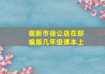 宿新市徐公店在部编版几年级课本上