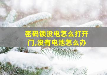 密码锁没电怎么打开门,没有电池怎么办