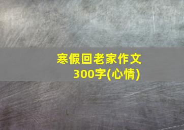 寒假回老家作文300字(心情)