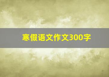 寒假语文作文300字