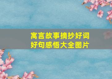 寓言故事摘抄好词好句感悟大全图片