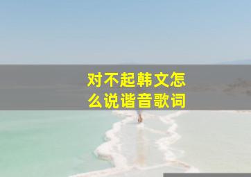 对不起韩文怎么说谐音歌词