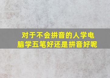 对于不会拼音的人学电脑学五笔好还是拼音好呢