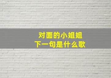 对面的小姐姐下一句是什么歌