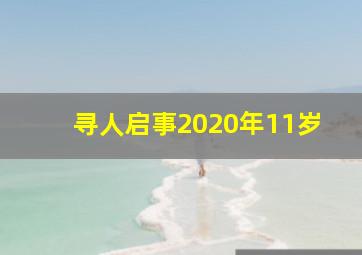 寻人启事2020年11岁