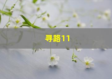 寻路11