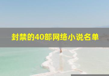 封禁的40部网络小说名单