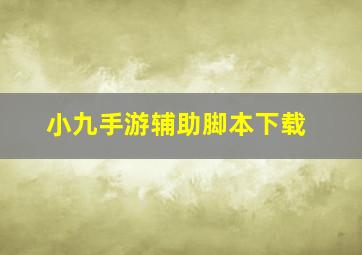 小九手游辅助脚本下载