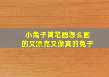 小兔子简笔画怎么画的又漂亮又像真的兔子